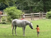 Big River Barn Rescue